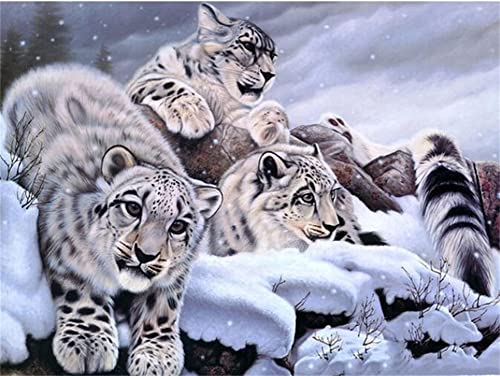 5D Diamant Malerei Set, Schneeleoparden-Brüder 20x25cm DIY Diamant Gemälde Kreuzstich Kit, Diamant Painting Bilder, Crystal Strass Stickerei Kunst Basteln Diamond Painting für Wanddekoration 5D Diamant Malerei Set, Schneeleoparden-Brüder 20x25cm DIY Diamant Gemälde Kreuzstich Kit, Diamant Painting Bilder, Crystal Strass Stickerei Kunst Basteln Diamond Painting für Wanddekoration von AREPAS
