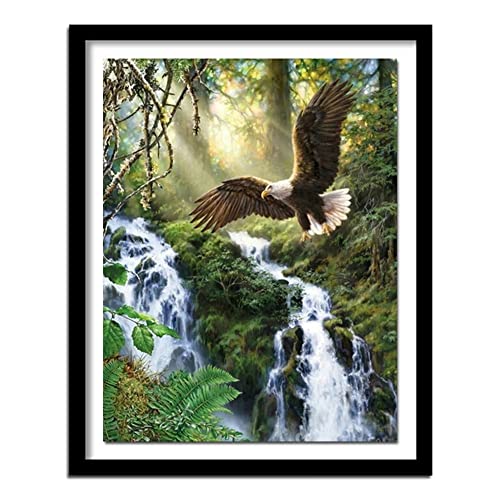 AREPAS 5D Diamant Malerei Set, Wasserfall-Wald-Adler 30x40cm DIY Diamant Gemälde Kreuzstich Kit, Diamant Painting Bilder, Crystal Strass Stickerei Kunst Basteln Diamond Painting für Wanddekoration AREPAS 5D Diamant Malerei Set, Wasserfall-Wald-Adler 30x40cm DIY Diamant Gemälde Kreuzstich Kit, Diamant Painting Bilder, Crystal Strass Stickerei Kunst Basteln Diamond Painting für Wanddekoration von AREPAS