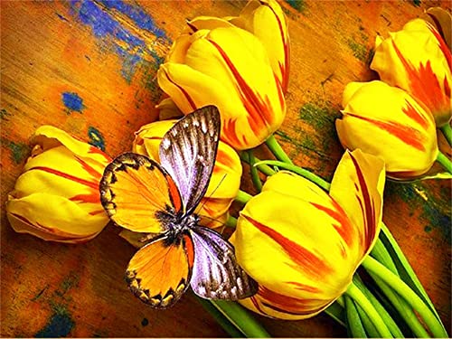 DIY Diamant Gemälde Malen Nach Zahlen Kits Gelber Tulpen-Schmetterling 20x25cm Diamond Painting Bilder, 5D Diamant Painting Kit, Vollbohrer Kristall Strass Stickerei Mosaik Gemälde für Wand Dekoration von AREPAS