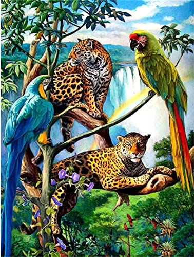 DIY Diamant Gemälde Malen Nach Zahlen Kits Leopard-Wasserfall-Papagei 30x40cm Diamond Painting Bilder, 5D Diamant Painting Kit, Vollbohrer Kristall Strass Stickerei Mosaik Gemälde für Wand Dekoration DIY Diamant Gemälde Malen Nach Zahlen Kits Leopard-Wasserfall-Papagei 30x40cm Diamond Painting Bilder, 5D Diamant Painting Kit, Vollbohrer Kristall Strass Stickerei Mosaik Gemälde für Wand Dekoration von AREPAS