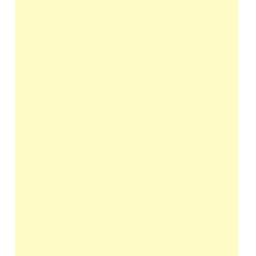 ARK Farbiger Karton, A4, 240 g/m², elfenbeinfarben, 10 Blatt von ARK