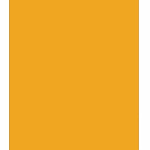 ARK Farbiger Karton, A4, 240 g/m², goldgelb, 10 Blatt ARK Farbiger Karton, A4, 240 g/m², goldgelb, 10 Blatt von ARK