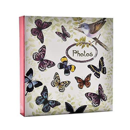 ARPAN Fotoalbum für 200 Fotos à 10 x 15 cm Vögel, Vintage Schmetterling ARPAN Fotoalbum für 200 Fotos à 10 x 15 cm Vögel, Vintage Schmetterling von ARPAN