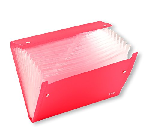 Arpan Fächermappe, A4, transparent, 13 Fächer, mit Druckknopfverschluss, Dokumentenmappe von Arpan (Pink) von ARPAN
