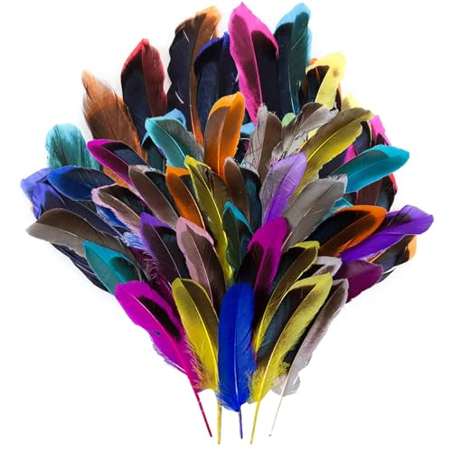 ARROMI 200 Stück Federn Zum Basteln, Bunte Federn für DIY Ohrring, Hochzeit, Traumfänger, Kopfschmuck, Hüte, Zuhause Dekor, Halloween, DIY Dekoration von ARROMI