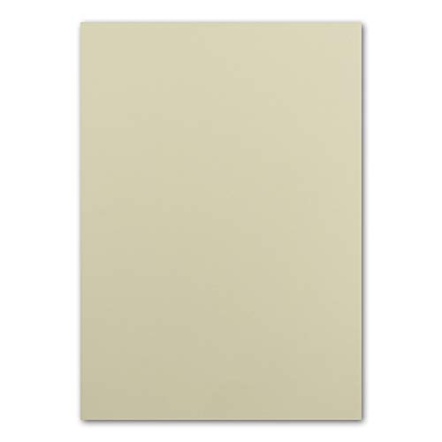 ARTOZ FLORETTA 100x DIN A4 Bogen - light green - 92 g/m² - 29,7 x 21 cm - pastellfarbenes Papier zum Basteln & Drucken ARTOZ FLORETTA 100x DIN A4 Bogen - light green - 92 g/m² - 29,7 x 21 cm - pastellfarbenes Papier zum Basteln & Drucken von ARTOZ