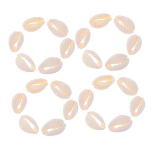 ARTSEWPLY 100 Stück Und Schmuckprojekte Charms Party Bastelperlen Hängeperlen Für Lochohrringe Heimketten Wind Löcher Machen Charm Sommer Natürlich Mit Muschelclip DIY ARTSEWPLY 100 Stück Und Schmuckprojekte Charms Party Bastelperlen Hängeperlen Für Lochohrringe Heimketten Wind Löcher Machen Charm Sommer Natürlich Mit Muschelclip DIY von ARTSEWPLY