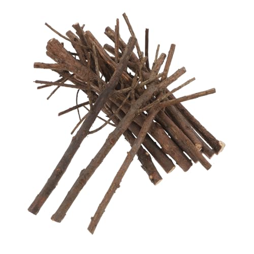ARTSEWPLY 15 Stück Teiliges Lange Weihnachts DIY Holzstäbe mit Künstlichen Trockene Zweige für Basteln Foto Requisiten Kreative Dekoration Sichere Glatte Schnittfläche ARTSEWPLY 15 Stück Teiliges Lange Weihnachts DIY Holzstäbe mit Künstlichen Trockene Zweige für Basteln Foto Requisiten Kreative Dekoration Sichere Glatte Schnittfläche von ARTSEWPLY