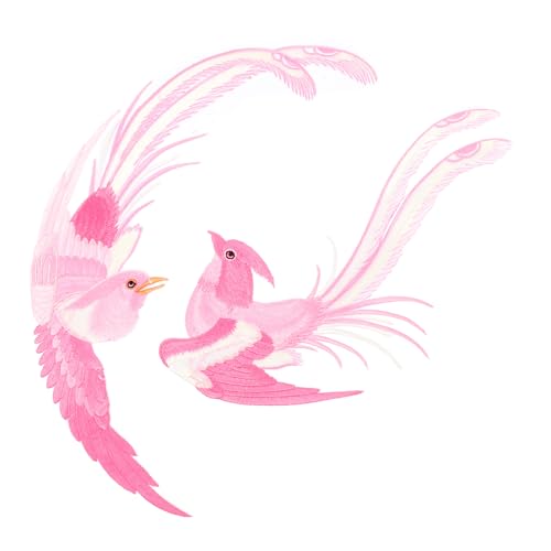 ARTSEWPLY Vogel Stickapplikationen zum Aufbügeln Ethno stil Symmetrische Vogel motiv Flicken für Kleidung Taschen Hüte DIY Dekoration und Reparatur von ARTSEWPLY