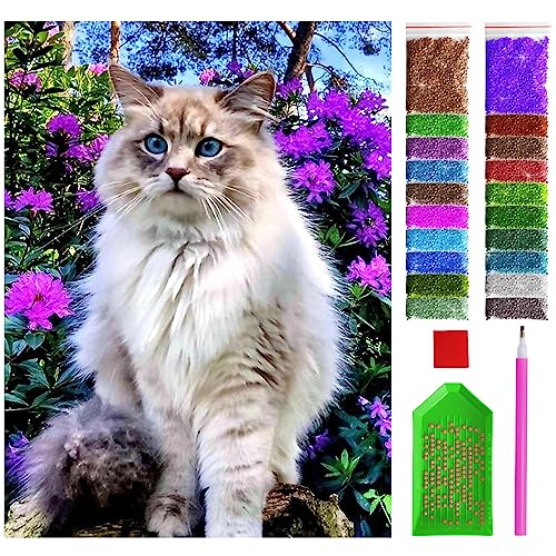 ARTULIO Diamond Painting Set - Kätzchen in karmesinrotem Kästchen - 30x40 cm – 5D Diamant Painting Bilder, Diamond Painting Erwachsene ARTULIO Diamond Painting Set - Kätzchen in karmesinrotem Kästchen - 30x40 cm – 5D Diamant Painting Bilder, Diamond Painting Erwachsene von ARTULIO