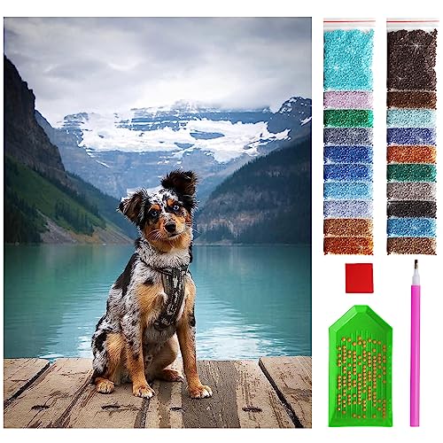 ARTULIO Diamond Painting Set Ein gescheckter Hund – 5D Diamant Painting Bilder Kinder 30x40 cm mit Diamond Painting Zubehör für Kinder und Erwachsene - Crystal Art von ARTULIO