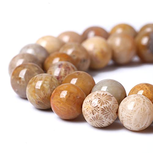 60 Stück 6 mm natürliche Korallen-Jade-Chrysanthemen-Steinperlen, rund, lose Perlen für Schmuckherstellung, DIY-Armband, Halskette von ASDJHFABKY