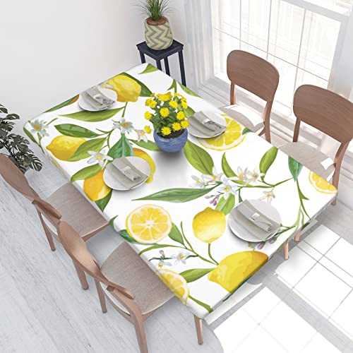 ASEELO Frische tropische Zitronen, bedruckt, rechteckig, Tischdecke, waschbar, elastisch, für Outdoor, Picknick, Camping, Party, Potluck ASEELO Frische tropische Zitronen, bedruckt, rechteckig, Tischdecke, waschbar, elastisch, für Outdoor, Picknick, Camping, Party, Potluck von ASEELO