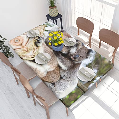 ASEELO Tischdecke, 122 cm, Koala-Bär-Druck, dekorative Tischdecke, abwischbar, für Esstisch, Innen- und Außenbereich von ASEELO