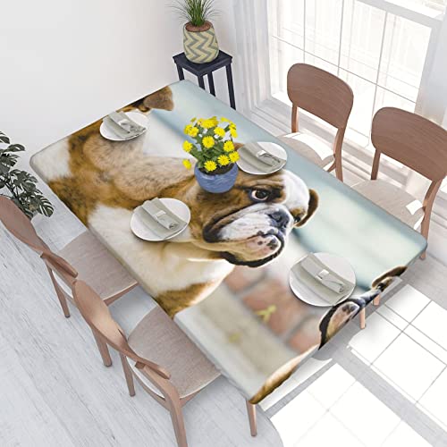ASEELO Tischdecke, 122 cm, lustige englische Bulldogge-Druck, dekorative Tischdecke, abwischbare Tischdecke für Esstisch, Teetisch und drinnen und draußen ASEELO Tischdecke, 122 cm, lustige englische Bulldogge-Druck, dekorative Tischdecke, abwischbare Tischdecke für Esstisch, Teetisch und drinnen und draußen von ASEELO
