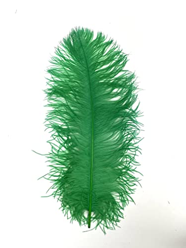 1 Stück Kelly Green Straußenfedern 18"-23" für Halloween Kostüm Mittelstücke Braut Hüte DIY von ASKFNASDKMFN