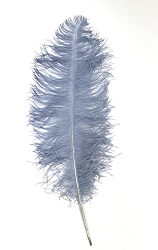 1 Stück silbergraue Straußenfedern 18"-23" für Halloweenkostüm-Mittelstücke Brauthüte DIY von ASKFNASDKMFN