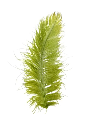 1 x moosgrüne Straußenfedern, 58,4 - 71,1 cm, für Tafelaufsätze, Kostüm-Vasen, Theater-Bastelarbeiten 1 x moosgrüne Straußenfedern, 58,4 - 71,1 cm, für Tafelaufsätze, Kostüm-Vasen, Theater-Bastelarbeiten von ASKFNASDKMFN