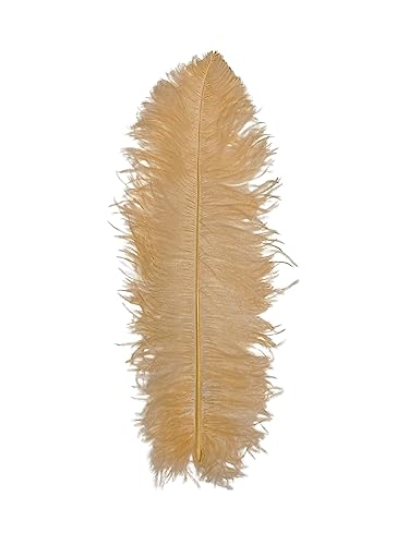 1 x pfirsichfarbene Straußenfedern, 58,4 - 71,1 cm, für Tafelaufsätze, Kostüm-Vasen, Theater-Bastelarbeiten 1 x pfirsichfarbene Straußenfedern, 58,4 - 71,1 cm, für Tafelaufsätze, Kostüm-Vasen, Theater-Bastelarbeiten von ASKFNASDKMFN