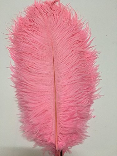 10 Stück Straußenfedern, 25,4–30,5 cm, Federbusch für Hochzeitsmittelstücke, Heimdekoration (Rosa) von ASKFNASDKMFN