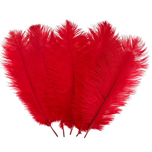 10 Stück Straußenfedern, 30–35 cm (12–14 Zoll), Federn für Partys, Hochzeiten, Tafelaufsätze, Festivalvasen, Dekoration (rot) von ASKFNASDKMFN