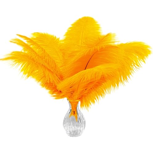 10 Stück goldene Straußenfedern, 30–35 cm, lose für Hochzeitsfeier-Mittelstücke und DIY-Kleidungsdekoration, Gatsby-Dekorationen 10 Stück goldene Straußenfedern, 30–35 cm, lose für Hochzeitsfeier-Mittelstücke und DIY-Kleidungsdekoration, Gatsby-Dekorationen von ASKFNASDKMFN