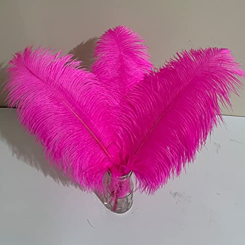 10 Stück große, pinkfarbene Straußenfedern, flauschige Federn, 40,6–45,7 cm, zum Basteln, für Zuhause, Party, Dekoration, Hochzeit, Mittelstücke, Kleidung, Vase, Dekor von ASKFNASDKMFN
