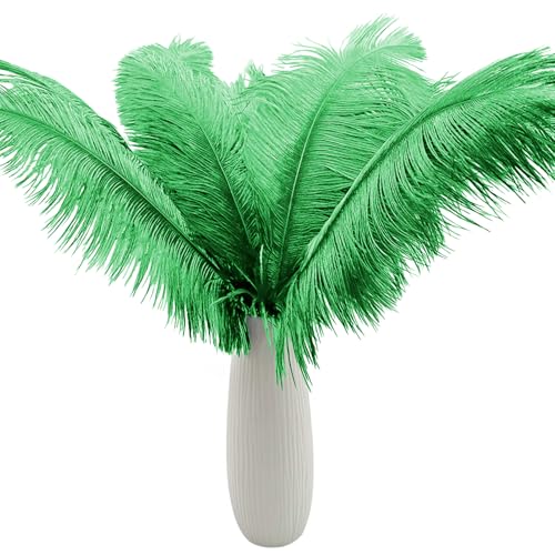 10 Stück große grüne Straußenfedern, flauschige Federn, 40,6–45,7 cm, für Bastelarbeiten, Heimdekoration, Partydekoration, Hochzeit, Mittelstücke, Kleidung, Vase, Dekor von ASKFNASDKMFN