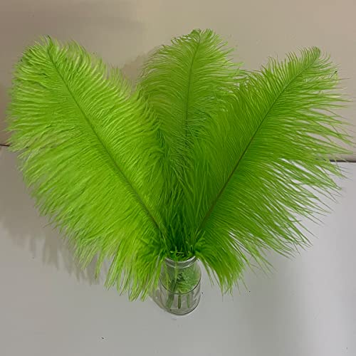 10 Stück große lindgrüne Straußenfedern, flauschige Federn, 40,6–45,7 cm, zum Basteln, für Zuhause, Party-Dekoration, Hochzeit, Tafelaufsätze, Kleidung, Vase, Dekor von ASKFNASDKMFN