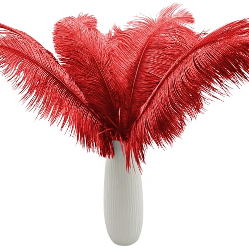 10 Stück große rote Straußenfedern, flauschige Federn, 40,6–45,7 cm, für Bastelarbeiten, Heimdekoration, Partydekoration, Hochzeit, Mittelstücke, Kleidung, Vase, Dekor 10 Stück große rote Straußenfedern, flauschige Federn, 40,6–45,7 cm, für Bastelarbeiten, Heimdekoration, Partydekoration, Hochzeit, Mittelstücke, Kleidung, Vase, Dekor von ASKFNASDKMFN