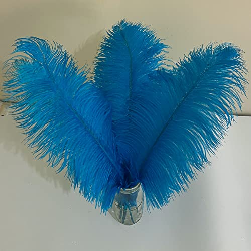 10 Stück große türkisfarbene Straußenfedern, flauschige Federn, 40,6–45,7 cm, zum Basteln, für Zuhause, Party, Dekoration, Hochzeit, Mittelstücke, Kleidung, Vase, Dekor von ASKFNASDKMFN