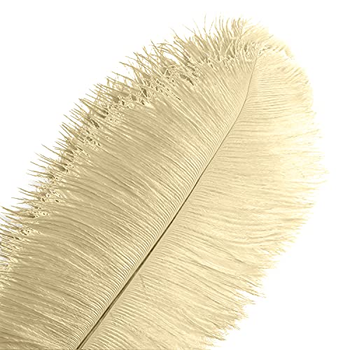 10 Stück natürliche Champagner-Straußenfedern, 35–40 cm, lose für Hochzeitsfeier-Dekoration, Gatsby-Dekorationen 10 Stück natürliche Champagner-Straußenfedern, 35–40 cm, lose für Hochzeitsfeier-Dekoration, Gatsby-Dekorationen von ASKFNASDKMFN