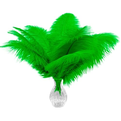 10 Stück natürliche Champagner-Straußenfedern 10-12 Zoll (25-30 cm) Bulk für Heimdekoration und DIY-Kleidung und St. Patrick Dekoration, Gatsby Dekorationen von ASKFNASDKMFN