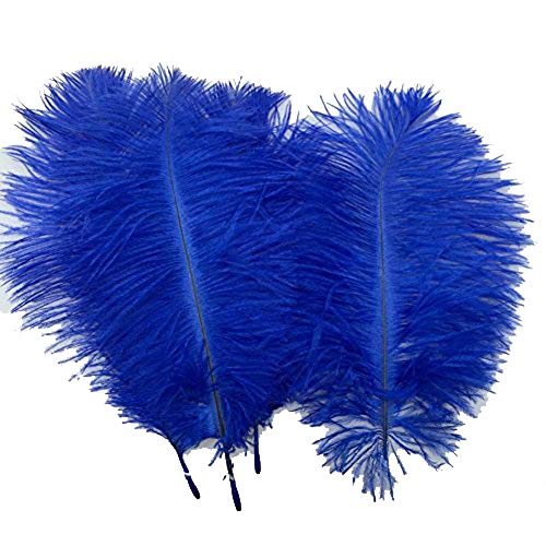 10 Stück natürliche Straußenfedern, 19,8–24,9 cm, für Hochzeitsmittelstücke, Heimdekoration (blau) von ASKFNASDKMFN