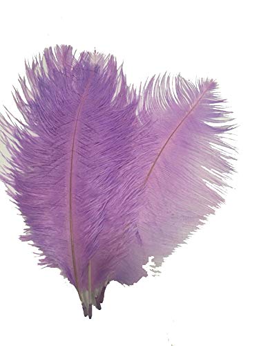 10 Stück natürliche Straußenfedern, 19,8–24,9 cm, für Hochzeitstafelaufsätze, Heimdekoration (Lavendel) von ASKFNASDKMFN