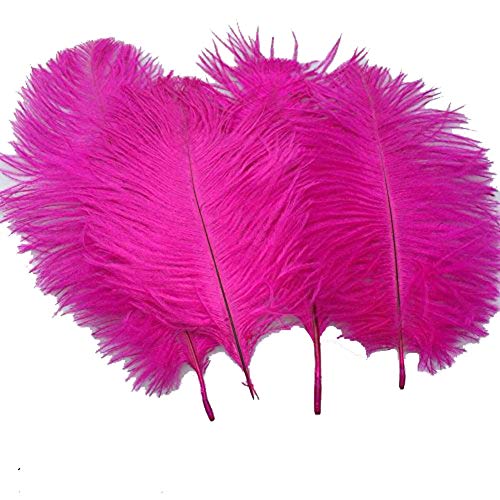 10 Stück natürliche Straußenfedern, 19,8–24,9 cm, für Hochzeitstafelaufsätze, Heimdekoration (Rose) von ASKFNASDKMFN