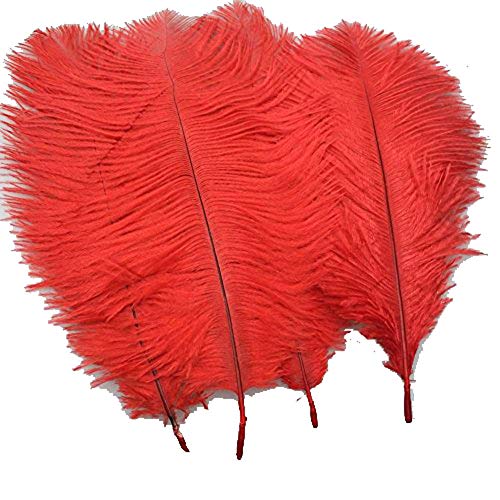 10 Stück natürliche Straußenfedern, 19,8–24,9 cm, für Hochzeitstafelaufsätze, Heimdekoration (rot) von ASKFNASDKMFN