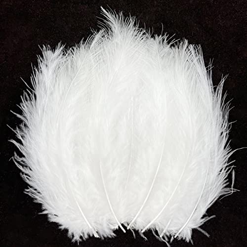 100 Stück weiße Federn flauschige Truthahn-Marabufedern 10,2 - 15,2 cm zum Basteln, Traumfänger, Fransenbesatz, farbige Federn, Fliegenbindenmaterial 100 Stück weiße Federn flauschige Truthahn-Marabufedern 10,2 - 15,2 cm zum Basteln, Traumfänger, Fransenbesatz, farbige Federn, Fliegenbindenmaterial von ASKFNASDKMFN