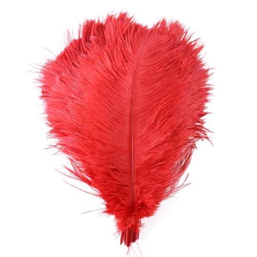 10er-Pack Straußenfedern, 25–30 cm (10–12 Zoll), Straußenfedern, Federbüsche in Großpackung für Hochzeitstafeln, Tischdekoration zu Hause und Bastelarbeiten (Rot (10 Stück)) von ASKFNASDKMFN
