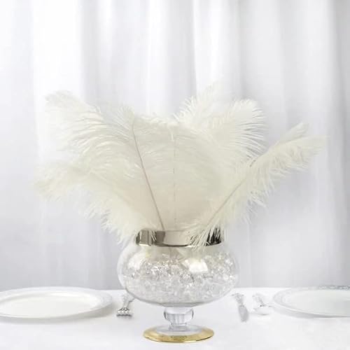12 Stück 33 - 38,1 cm lange, elfenbeinfarbene Straußenfedern für Tafelaufsätze, Hochzeit, Party, Tischdekorationen 12 Stück 33 - 38,1 cm lange, elfenbeinfarbene Straußenfedern für Tafelaufsätze, Hochzeit, Party, Tischdekorationen von ASKFNASDKMFN