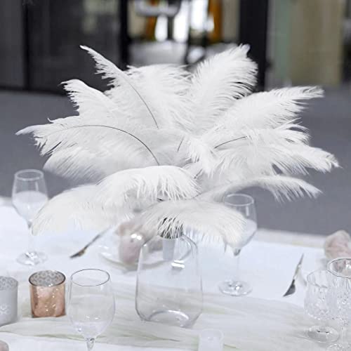 12 Stück 33-38,1 cm lange weiße Straußenfedern für Tafelaufsätze, Hochzeit, Party, Tischdekoration 12 Stück 33-38,1 cm lange weiße Straußenfedern für Tafelaufsätze, Hochzeit, Party, Tischdekoration von ASKFNASDKMFN