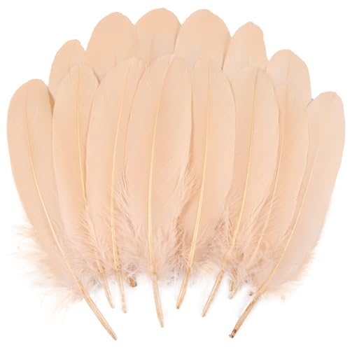 120 Stück Champagner-Gänsefedern, natürlich, 15-20 cm, für Bastelarbeiten, Cosplay, Hochzeit, Party, Halloween, Dekoration, Gänsefedern, Nagoire 120 Stück Champagner-Gänsefedern, natürlich, 15-20 cm, für Bastelarbeiten, Cosplay, Hochzeit, Party, Halloween, Dekoration, Gänsefedern, Nagoire von ASKFNASDKMFN
