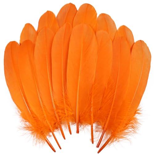 120 orangefarbene Gänsefedern, natürlich, 15-20 cm, für Bastelarbeiten, Cosplay, Hochzeit, Party, Halloween, Dekoration, Gänsefedern, Nagoire 120 orangefarbene Gänsefedern, natürlich, 15-20 cm, für Bastelarbeiten, Cosplay, Hochzeit, Party, Halloween, Dekoration, Gänsefedern, Nagoire von ASKFNASDKMFN
