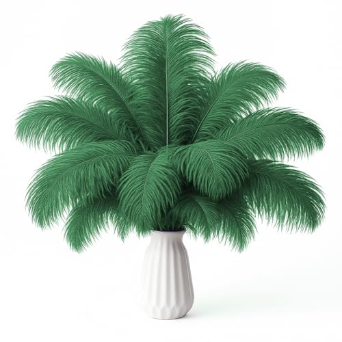 20 Stück 25,4 - 30,5 cm schwärzlich-grüne Straußenfedern für Hochzeiten, Bastelarbeiten, Festival-Dekoration, Partydekoration, Blumenarrangement, böhmische Heimdekoration (Schwarzgrün) von ASKFNASDKMFN