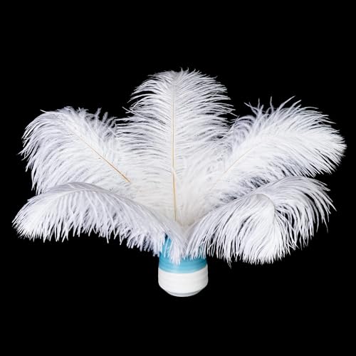 20 Stück Natura Weiße Straußenfedern 15-20 cm (6-8 Zoll) Bulk Hochzeitsparty-Mittelstücke und DIY-Kleidungsdekoration, Gatsby-Dekorationen von ASKFNASDKMFN