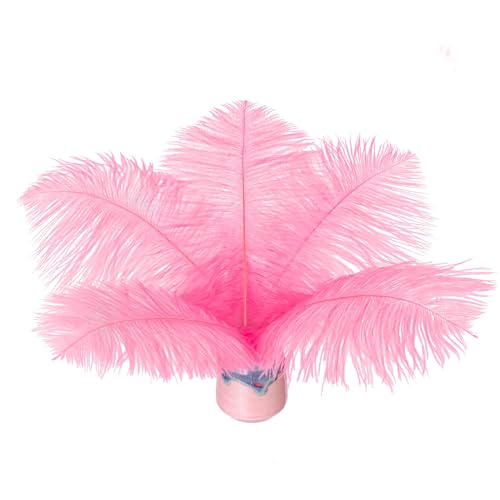 20 Stück Straußenfedern, natürliche rosa Straußenfedern, 15-20 cm, Großpackung für DIY handgefertigte Kunstwerke und DIY-Kleidung, Federstifte, Traumfänger, Tischdekoration. 20 Stück Straußenfedern, natürliche rosa Straußenfedern, 15-20 cm, Großpackung für DIY handgefertigte Kunstwerke und DIY-Kleidung, Federstifte, Traumfänger, Tischdekoration. von ASKFNASDKMFN