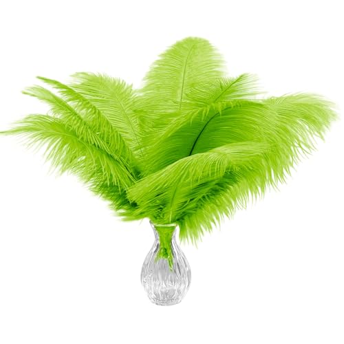 20 Stück Zitronengrüne Straußenfedern 10-12 Zoll (25-30cm) Federn in großen Mengen für Heimdekoration und DIY-Kleidungsdekoration, Gatsby-Dekorationen von ASKFNASDKMFN