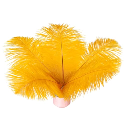 20 Stück goldene Straußenfedern, 15–20 cm, lose für selbstgemachte Kleidung, Federstifte, Traumfänger, Gatsby-Dekorationen von ASKFNASDKMFN