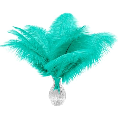 20 Stück mintgrüne Straußenfedern 30–35 cm (12–14 Zoll) Bulk für Hochzeitsfeier-Mittelstücke und DIY-Kleidungsdekoration, Gatsby-Dekorationen von ASKFNASDKMFN