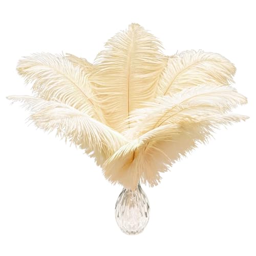 20 Stück natürliche Champange-Straußenfedern, 25–30 cm, Großpackung Federn für Hochzeit, Party, Heimdekoration, DIY-Kleidung, Gatsby-Dekorationen 20 Stück natürliche Champange-Straußenfedern, 25–30 cm, Großpackung Federn für Hochzeit, Party, Heimdekoration, DIY-Kleidung, Gatsby-Dekorationen von ASKFNASDKMFN